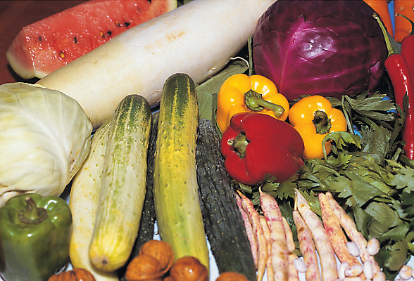 포토 JPG 스튜디오촬영 식물 음식 컬러 다수 채소 식재료 고추 피망 오이 수박 실내 종류 사람없음 농작물 컬러풀 다양 무 양배추 파 샐러리 콩깍지 적채 국내포토 농업 과일 콩 뿌리채소 내부 파일형식