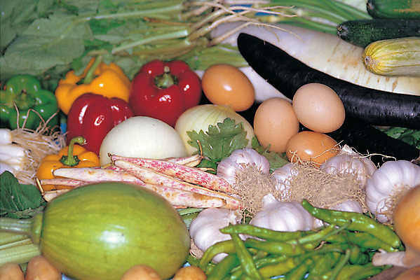 포토 JPG 스튜디오촬영 식물 음식 컬러 다수 채소 식재료 고추 호박 가지 양파 피망 실내 마늘 종류 사람없음 농작물 컬러풀 계란 당근 다양 양념 무 향신료 양배추 파 콩깍지 국내포토 농업 콩 뿌리채소 내부 알 향미료 파일형식