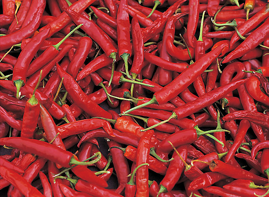 포토 JPG 식물 열매 음식 컬러 다수 채소 식재료 고추 사람없음 빨간색 농작물 여러개 양념 향신료 국내포토 농업 향미료 파일형식