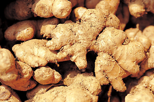 포토 JPG 주간 식물 음식 컬러 다수 식재료 뿌리채소 사람없음 야외 농작물 갈색 여러개 한의학 약재 한약재 양념 향신료 뿌리 생강 국내포토 자연요소 농업 채소 의학 약 향미료 파일형식