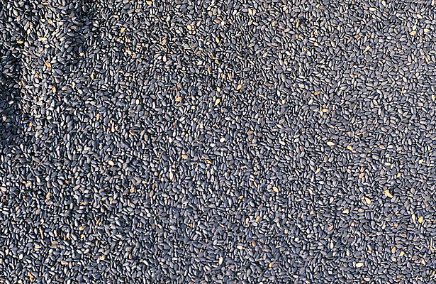 포토 JPG 음식 컬러 다수 백그라운드 식재료 재료 곡류 씨앗 사람없음 농작물 검은색 여러개 조미료 낟알 알맹이 깨 잡곡 검은깨 흑깨 흑임자 국내포토 식물 농업 향미료 파일형식