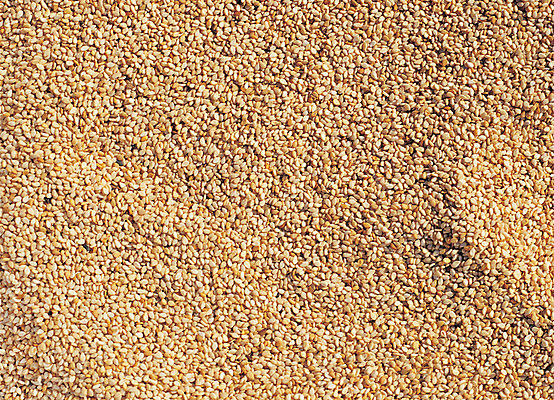 포토 JPG 음식 다수 백그라운드 식재료 재료 곡류 씨앗 사람없음 농작물 여러개 조미료 낟알 알맹이 깨 잡곡 참깨 국내포토 식물 농업 향미료 파일형식