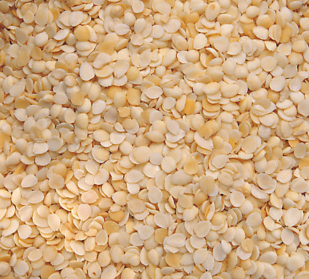 포토 JPG 음식 다수 백그라운드 식재료 재료 곡류 사람없음 농작물 여러개 낟알 알맹이 잡곡 살구씨 국내포토 농업 씨앗 살구 파일형식