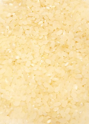 포토 JPG 스튜디오촬영 음식 백그라운드 식재료 곡류 실내 사람없음 농작물 쌀 흰색 낟알 알맹이 국내포토 컬러 농업 내부 파일형식