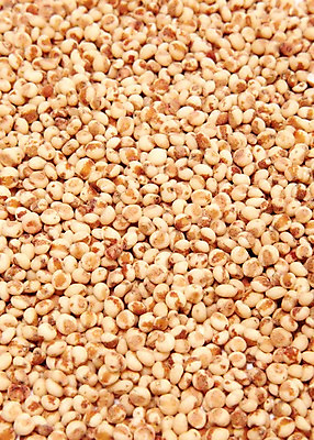 포토 JPG 스튜디오촬영 음식 백그라운드 식재료 곡류 실내 사람없음 농작물 갈색 낟알 알맹이 잡곡 수수 국내포토 컬러 농업 내부 파일형식