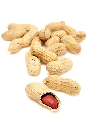 포토 JPG 스튜디오촬영 열매 음식 다수 식재료 실내 누끼 사람없음 농작물 여러개 견과류 껍질 절기 알맹이 땅콩 정월대보름 부럼 국내포토 식물 계절 명절 농업 내부 파일형식