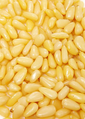 포토 JPG 스튜디오촬영 열매 음식 다수 백그라운드 식재료 실내 사람없음 농작물 여러개 견과류 절기 알맹이 정월대보름 잣 부럼 국내포토 식물 계절 명절 농업 내부 파일형식