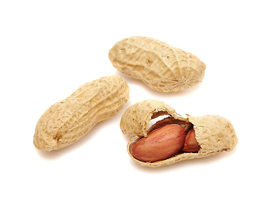 포토 JPG 스튜디오촬영 열매 음식 식재료 실내 누끼 사람없음 농작물 견과류 껍질 절기 알맹이 땅콩 정월대보름 부럼 국내포토 식물 계절 명절 농업 내부 파일형식