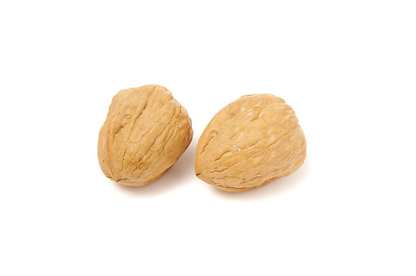 포토 JPG 스튜디오촬영 열매 음식 식재료 실내 누끼 사람없음 농작물 견과류 두개 껍질 절기 호두 정월대보름 부럼 국내포토 식물 계절 명절 2 농업 내부 파일형식