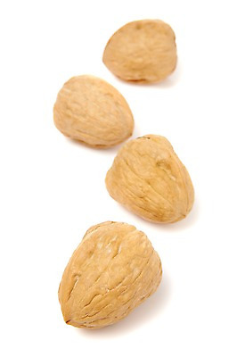 포토 JPG 스튜디오촬영 열매 음식 식재료 실내 누끼 사람없음 농작물 여러개 견과류 껍질 절기 호두 정월대보름 부럼 국내포토 식물 계절 명절 다수 농업 내부 파일형식