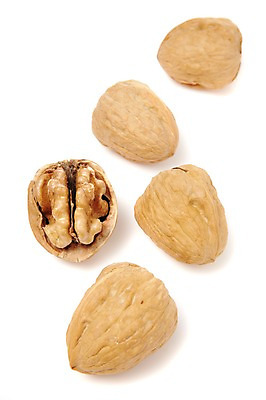 포토 JPG 스튜디오촬영 열매 음식 식재료 실내 누끼 사람없음 농작물 여러개 견과류 껍질 절기 알맹이 호두 정월대보름 부럼 국내포토 식물 계절 명절 다수 농업 내부 파일형식