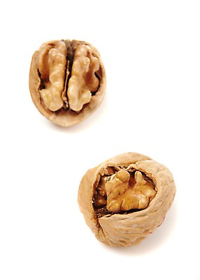 포토 JPG 스튜디오촬영 열매 음식 다수 식재료 실내 누끼 사람없음 농작물 여러개 견과류 두개 껍질 절기 알맹이 호두 정월대보름 부럼 국내포토 식물 계절 명절 2 농업 내부 파일형식