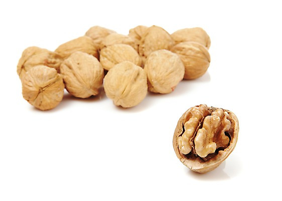 포토 JPG 스튜디오촬영 열매 음식 다수 식재료 실내 누끼 사람없음 농작물 여러개 견과류 껍질 절기 알맹이 호두 정월대보름 부럼 국내포토 식물 계절 명절 농업 내부 파일형식