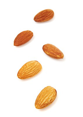 포토 JPG 스튜디오촬영 열매 음식 다수 식재료 실내 누끼 사람없음 농작물 여러개 견과류 알맹이 아몬드 국내포토 식물 농업 내부 파일형식