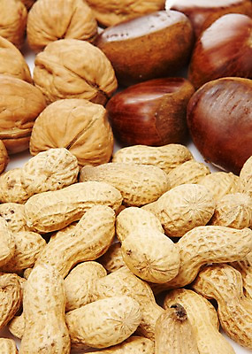 포토 JPG 스튜디오촬영 열매 음식 다수 식재료 실내 사람없음 농작물 여러개 다양 견과류 껍질 밤 절기 땅콩 호두 정월대보름 부럼 국내포토 식물 계절 명절 농업 내부 파일형식