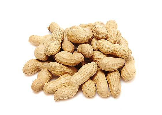 포토 JPG 스튜디오촬영 열매 음식 다수 식재료 실내 누끼 사람없음 농작물 여러개 견과류 껍질 절기 땅콩 정월대보름 부럼 국내포토 식물 계절 명절 농업 내부 파일형식