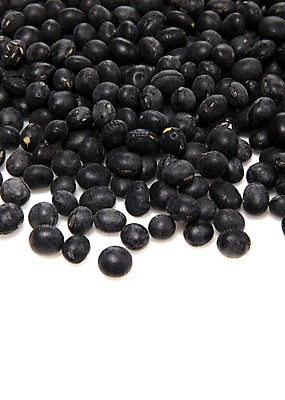 포토 JPG 스튜디오촬영 음식 백그라운드 식재료 콩 곡류 실내 사람없음 농작물 검은색 낟알 알맹이 잡곡 검은콩 검정콩 국내포토 컬러 농업 내부 파일형식