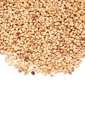 포토 JPG 스튜디오촬영 음식 백그라운드 식재료 곡류 실내 사람없음 농작물 갈색 낟알 알맹이 잡곡 수수 국내포토 컬러 농업 내부 파일형식