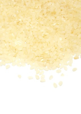 포토 JPG 스튜디오촬영 음식 백그라운드 식재료 곡류 실내 사람없음 농작물 쌀 흰색 낟알 알맹이 국내포토 컬러 농업 내부 파일형식