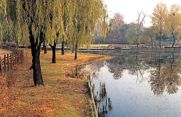 포토 JPG 주간 나무 식물 공원 호수 자연 서울 한국 물그림자 풍경 사람없음 야외 울타리 반사 평화 침묵 고요 연못 수도 용산 용산공원 수도_도성 국내포토 자연요소 공공시설 아시아 컨셉 그림자 담장 소리 생태계 파일형식