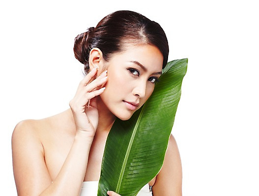 포토 JPG 스튜디오촬영 외국인 식물 해외기획촬영 우먼라이프 라이프스타일 웰빙 여자 2010년태국 포즈 잎 모션 실내 한명 사람 동양인 상반신 20대 성인 라이프 뷰티 매끈함 순수 청순 의료성형뷰티 여자만 여자한명만 성인여자만 청년만 청년여자만 성인한명만 청년여자한명만 성인여자한명만 성인만 국내포토 1 컨셉 인종 청년 내부 생활 감각 파일형식