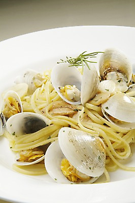 포토 JPG 스튜디오촬영 그릇 접시 음식 조개 실내 스파게티 요리 사람없음 면류 면 봉골레파스타 국내포토 식기 어패류 파스타 내부 파일형식