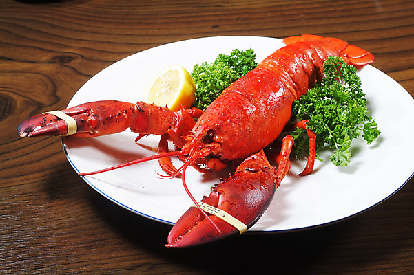 포토 JPG 스튜디오촬영 그릇 접시 음식 일본문화 실내 파슬리 요리 사람없음 해물요리 바닷가재 레몬 해산물 랍스터찜 일본음식 국내포토 동양문화 식기 외국문화 채소 과일 내부 가재 파일형식