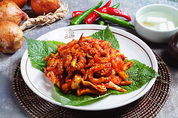 포토 JPG 스튜디오촬영 한국문화 그릇 접시 한식 음식 고추 실내 요리 사람없음 장식 받침대 볶음 홍고추 깻잎 풋고추 동치미 낙지볶음 국내포토 동양문화 식기 채소 김치 한국 내부 파일형식