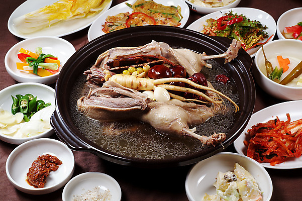 포토 JPG 스튜디오촬영 한국문화 그릇 한식 음식 다수 반찬 김치 실내 요리 사람없음 닭고기 샐러드 다양 인삼 전 대추 소금 쌈장 보양식 백김치 동치미 몸보신 백숙 은행열매 국내포토 동양문화 식기 열매 한국 육류 내부 양념 삼 보신 파일형식