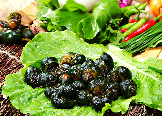 포토 JPG 스튜디오촬영 한국문화 그릇 한식 음식 채소 식재료 고추 실내 요리 사람없음 상추 홍고추 풋고추 우렁이 국내포토 동양문화 식기 한국 내부 파일형식