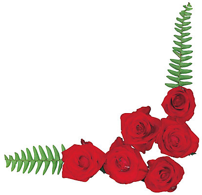 포토 JPG 식물 꽃 화초 컬러 여러송이 잎 프레임 틀 누끼 사람없음 장식 빨간색 장미 가장자리 꽃꽂이 코사지 국내포토 다수 장신구 둘레 원예 파일형식