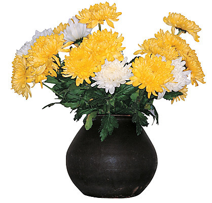 포토 JPG 식물 꽃 화초 컬러 여러송이 국화 누끼 사람없음 장식 노란색 꽃병 흰색 항아리 꽃꽂이 대국 국내포토 다수 도자기 원예 파일형식