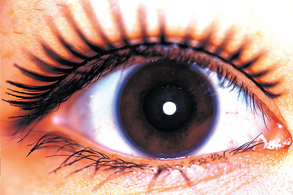 포토 JPG 여자 신체 한명 사람 근접촬영 신체부위 뷰티 눈동자 눈썹 속눈썹 마스카라 안구 여자만 여자한명만 국내포토 1 얼굴 뷰포인트 화장품 눈_신체부위 파일형식