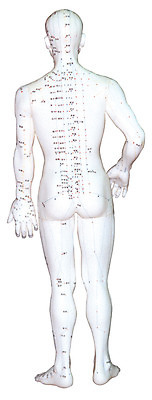 포토 JPG 신체 인체모형 의료기기 사람모양 실내 누끼 사람없음 뒷모습 치료 한개 모형 기계 한의학 기구 도구 의료용품 마네킹 오브젝트 한방용품 국내포토 모양 1 뷰포인트 의학 내부 파일형식