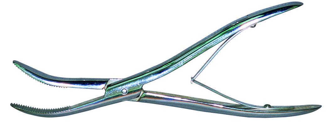 포토 JPG 의료기기 실내 집게 누끼 사람없음 치료 한개 금속 기계 기구 도구 의료용품 오브젝트 핀셋 국내포토 1 의학 재질 내부 파일형식