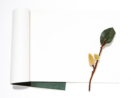 포토 JPG 스튜디오촬영 한국문화 한국전통 전통 종이 나뭇잎 전통소품 한국 실내 사람없음 책 메모지 오브젝트 국내포토 동양문화 아시아 잎 내부 사무용품 파일형식