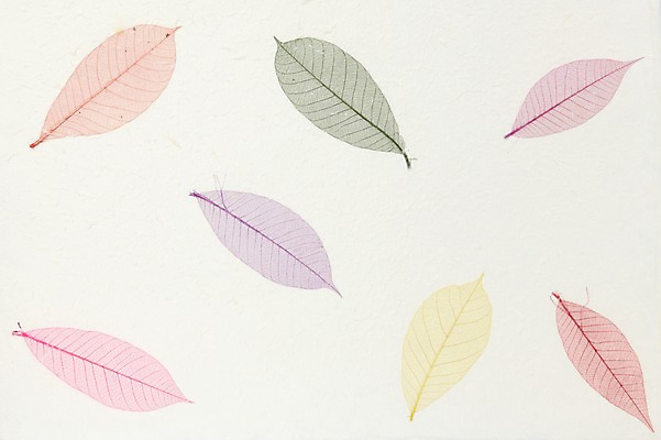 포토 동양문화 전통 아시아 종이 한국 실내 내부 오브젝트 파일형식 한국전통 한국문화 전통소품 JPG 사람없음 한지 스튜디오촬영 백그라운드 국내포토