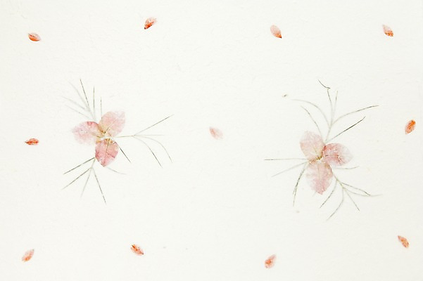 포토 JPG 스튜디오촬영 한국문화 한국전통 전통 백그라운드 전통소품 한국 실내 사람없음 한지 오브젝트 국내포토 동양문화 아시아 종이 내부 파일형식