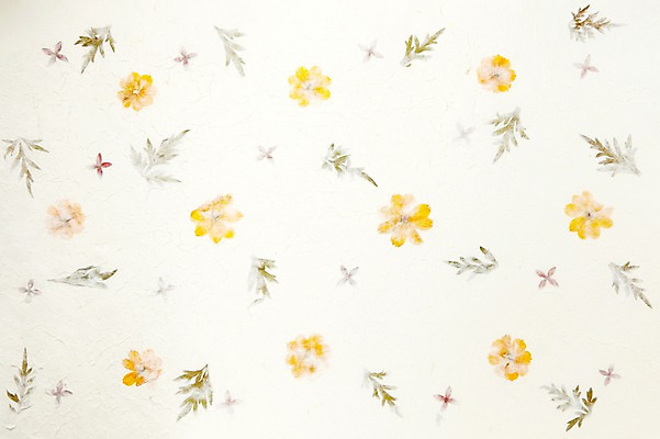 포토 JPG 스튜디오촬영 한국문화 한국전통 전통 백그라운드 전통소품 한국 사람없음 한지 오브젝트 국내포토 동양문화 아시아 종이 실내 파일형식