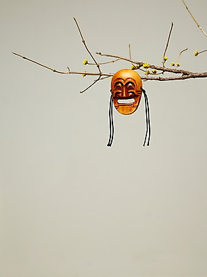 포토 JPG 스튜디오촬영 나무 한국문화 한국전통 전통 전통소품 한국 실내 꽃나무 사람없음 나뭇가지 오브젝트 탈 하회탈 국내포토 식물 동양문화 꽃 아시아 가면 내부 파일형식