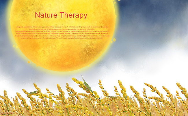 PSD 사계절 계절 백그라운드 일러스트 자연 논 사람없음 농작물 벼 보름달 달 가을 방아깨비 가을배경 국내일러스트 자연요소 곤충 농업 곡류 생태계 파일형식 가을_계절