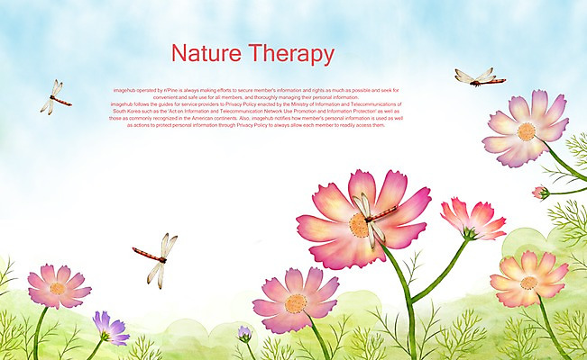 PSD 사계절 계절 꽃 분홍색 곤충 백그라운드 꽃밭 일러스트 자연 사람없음 가을 코스모스 고추잠자리 가을배경 국내일러스트 식물 동물 컬러 잠자리 생태계 파일형식 가을_계절