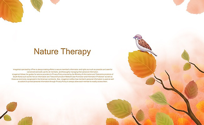 PSD 동물 한마리 사계절 계절 백그라운드 단풍 일러스트 자연 조류 단풍나무 사람없음 가을 나뭇가지 참새 가을배경 국내일러스트 나무 1 잎 생태계 파일형식 가을_계절