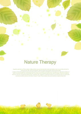 PSD 동물 사계절 계절 백그라운드 잎 일러스트 자연 조류 나뭇잎 병아리 세마리 잔디 초원 사람없음 봄 봄배경 국내일러스트 식물 3 생태계 파일형식