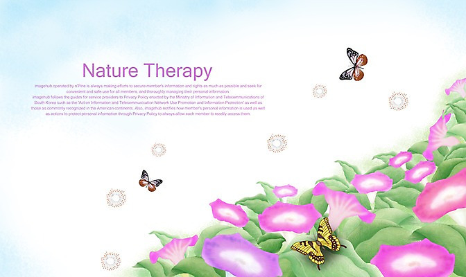 PSD 식물 사계절 계절 꽃 나비 곤충 백그라운드 일러스트 자연 사람없음 여름 자주색 나팔꽃 국내일러스트 동물 컬러 생태계 파일형식