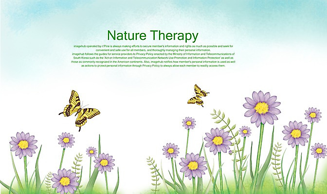PSD 식물 사계절 계절 나비 곤충 백그라운드 일러스트 자연 사람없음 여름 보라색 벌개미취 국내일러스트 동물 컬러 생태계 파일형식