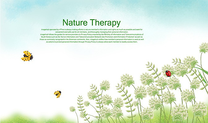 PSD 식물 사계절 계절 꽃 백그라운드 일러스트 자연 사람없음 여름 흰색 풀 무당벌레 두메부추 국내일러스트 컬러 곤충 생태계 파일형식