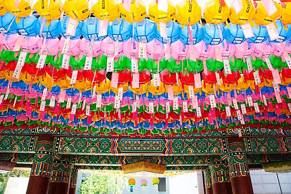 포토 JPG 건축물 종교 불교 이벤트 사람없음 야외 축제 부처님오신날 사찰 연등 조계사 국내포토 기념일 건축 종교건축 등불 불교용품 종로 파일형식