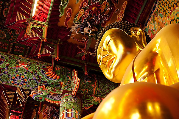 포토 JPG 종교 불교 실내 사람없음 부처님오신날 사찰 불상 부처 금불상 조계사 국내포토 기념일 종교건축 내부 종로 파일형식