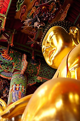 포토 JPG 종교 불교 실내 사람없음 부처님오신날 사찰 불상 부처 금불상 조계사 국내포토 기념일 종교건축 내부 종로 파일형식